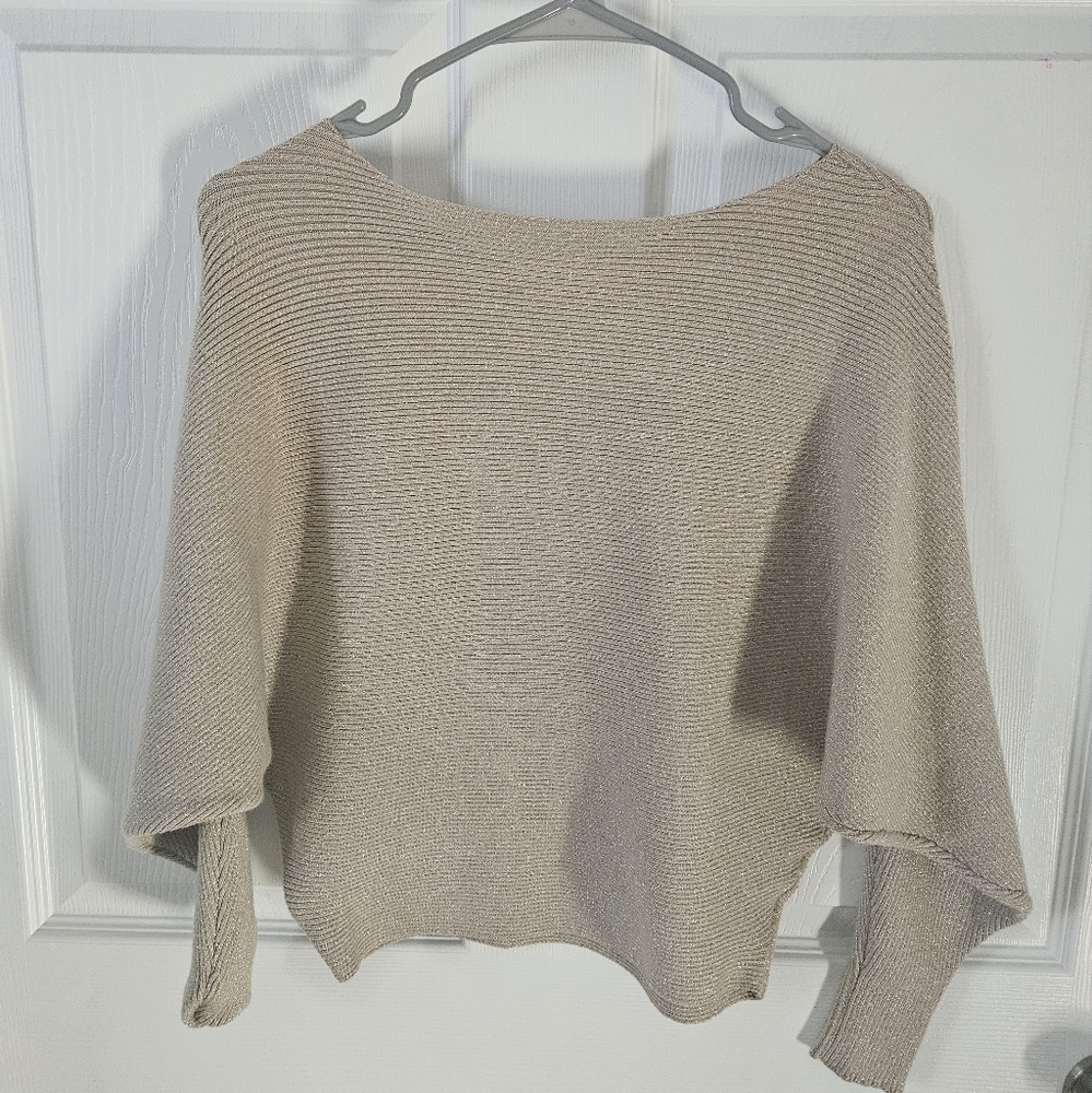 Sweet Rain Fitted Dolman Sparkle Sweater